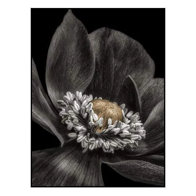 Gold Bud Flower Wall Art