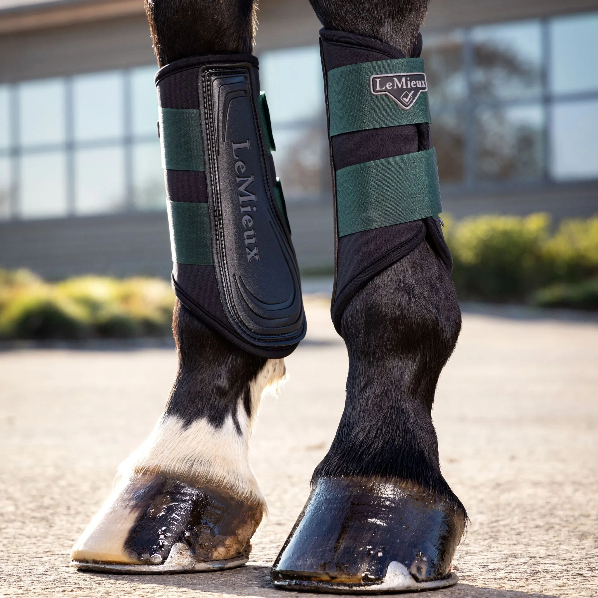 LeMieux Grafter Brushing Boots