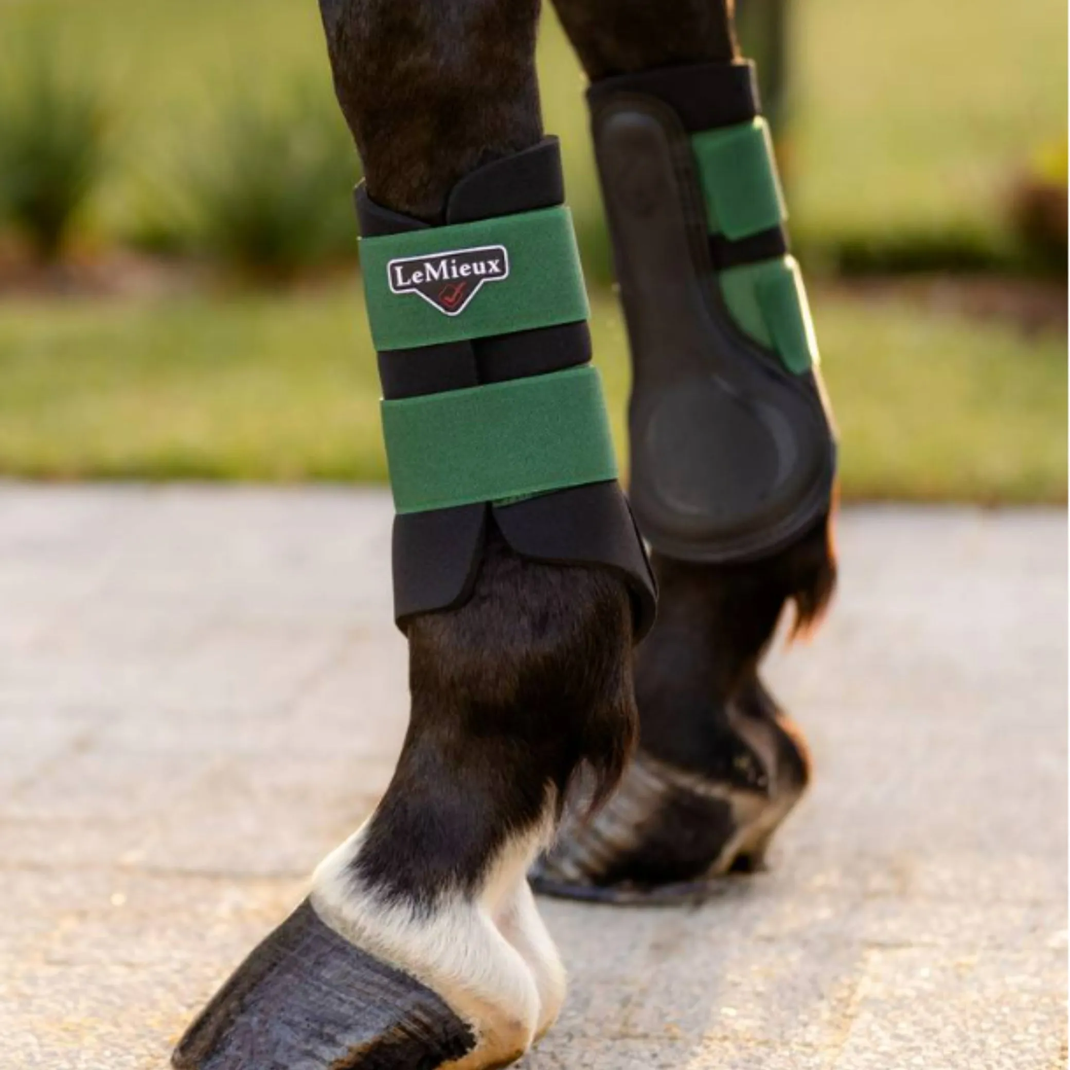 LeMieux Grafter Brushing Boots