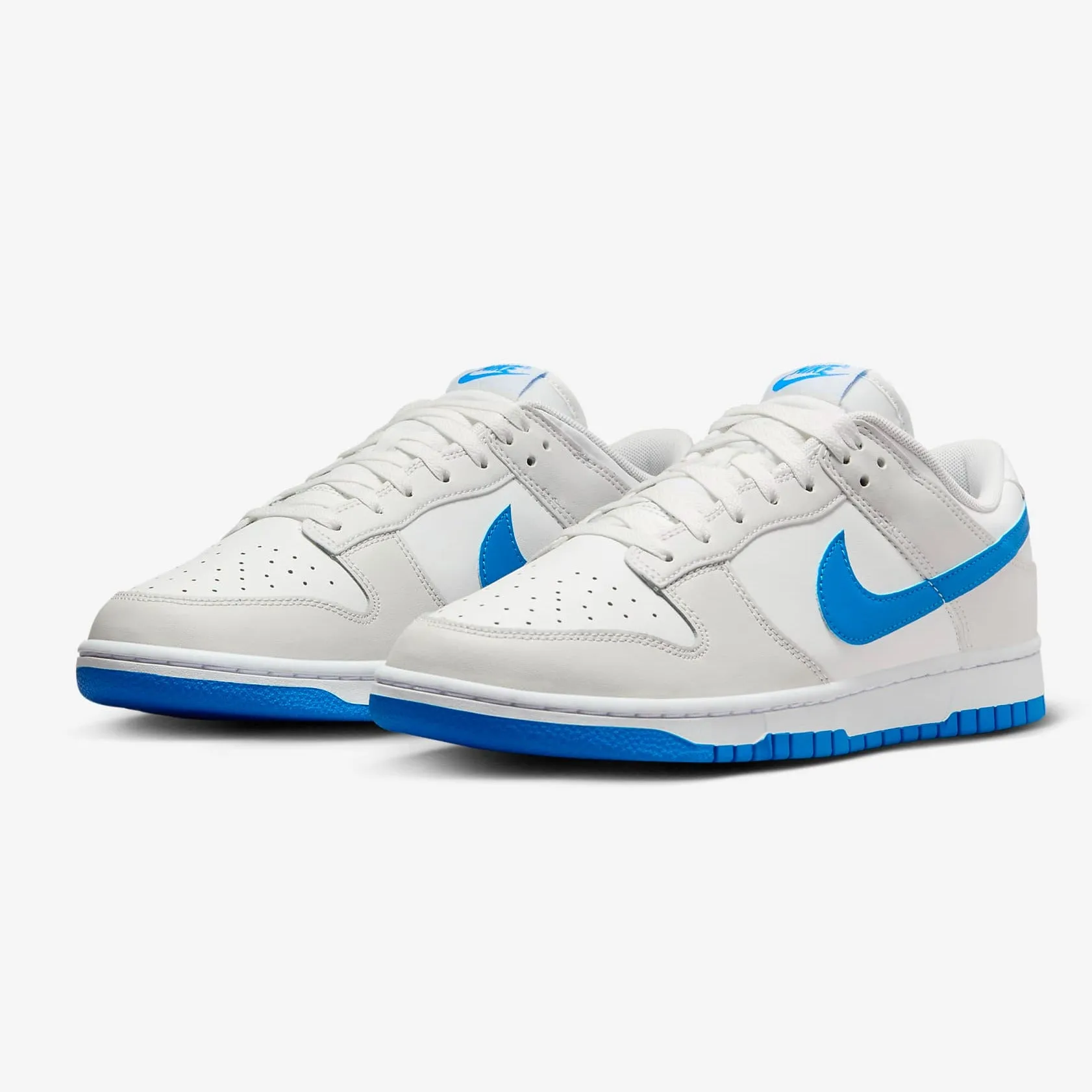 Nike Dunk Low Retro Men's Shoes