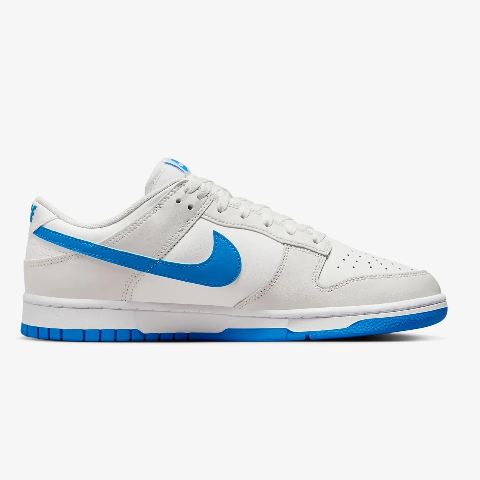 Nike Dunk Low Retro Men's Shoes