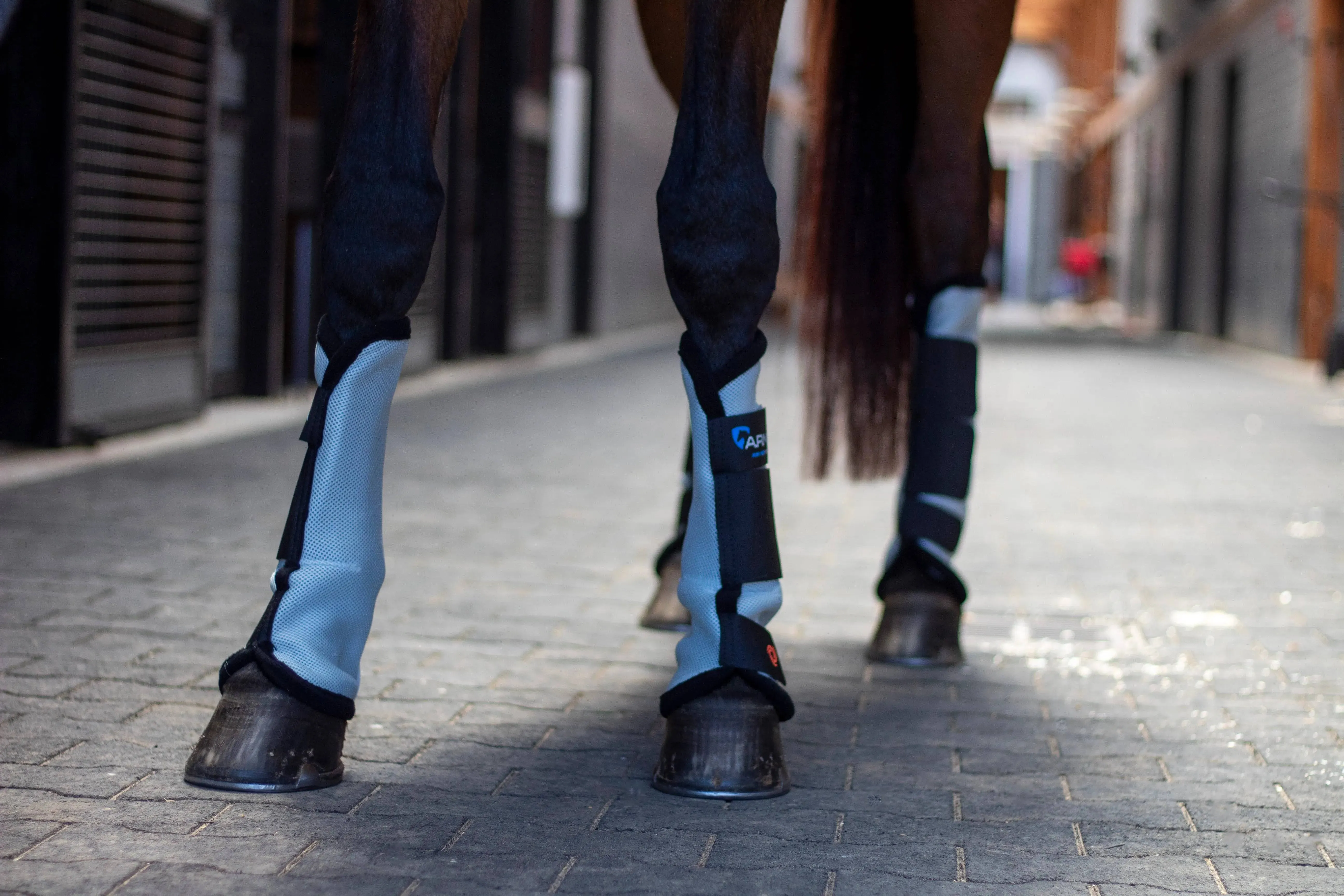Shire's Air Motion Fly Boots